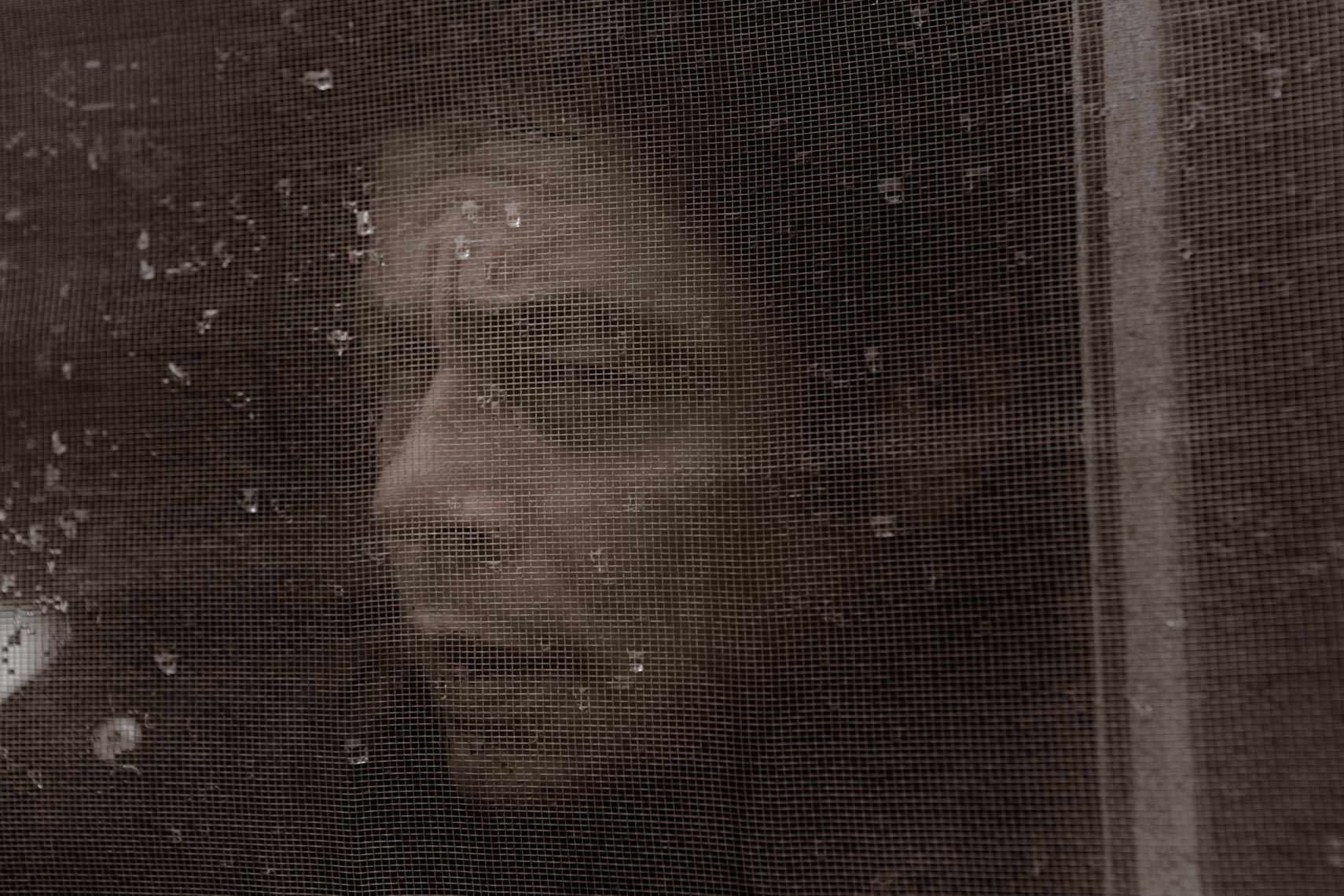 KurtIswarienko-BenicioDelToro-MG46042RTFw