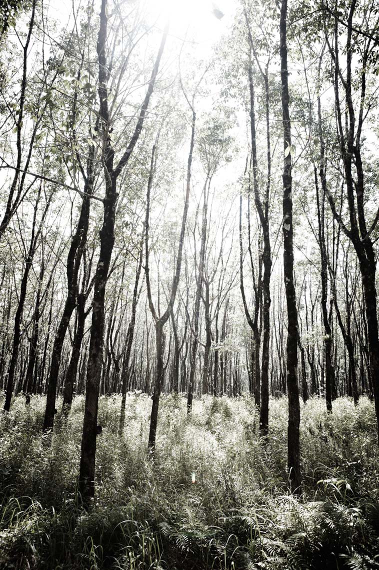 KurtIswarienko-EwanMcGregor-MG1728RTFclmw